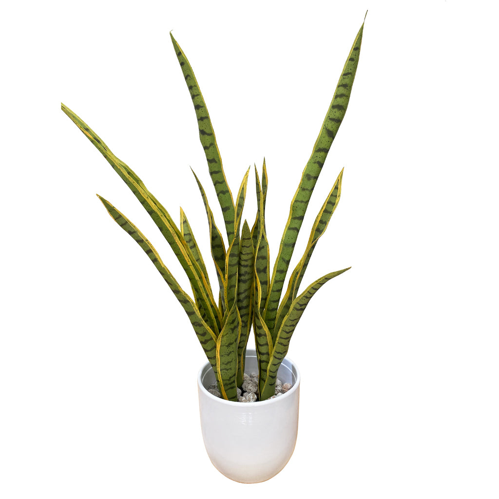 Artificial Sansevieria plant from Decorflowers.co.nz