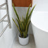 Artificial Sansevieria plant from Decorflowers.co.nz