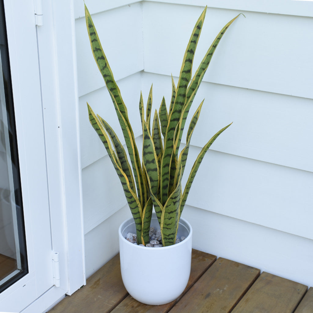 Artificial Sansevieria plant from Decorflowers.co.nz
