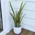 Artificial Sansevieria plant from Decorflowers.co.nz