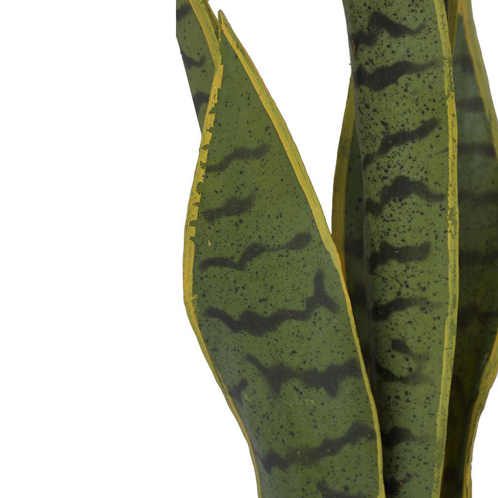 Artificial Mother In Law's Tongue from Decorflowers.co.nz