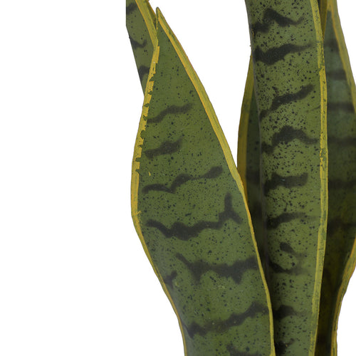 Artificial Mother In Law's Tongue from Decorflowers.co.nz