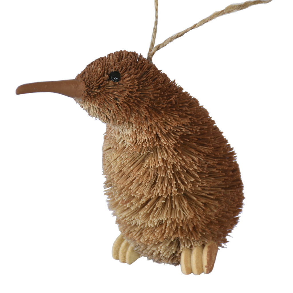 Ornamental Brush Fibre Kiwi - Plain