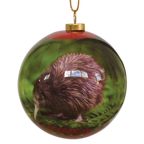 Kiwi bird decoration bauble