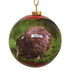 Kiwi bird decoration bauble