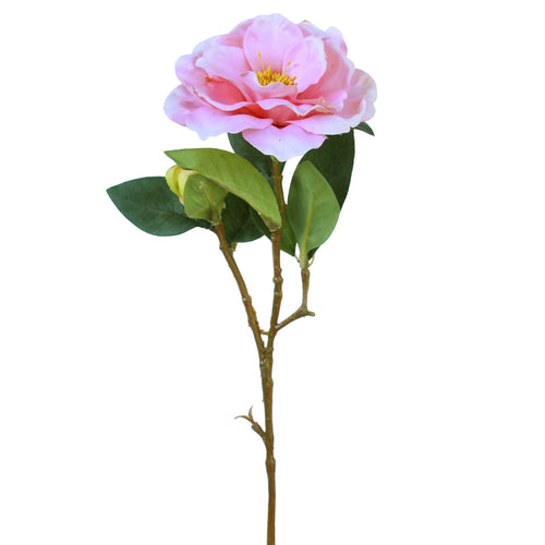 Camellia flower - Pink