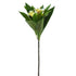 Artificial Frangipani flower with green leaves and white flowers on a white background