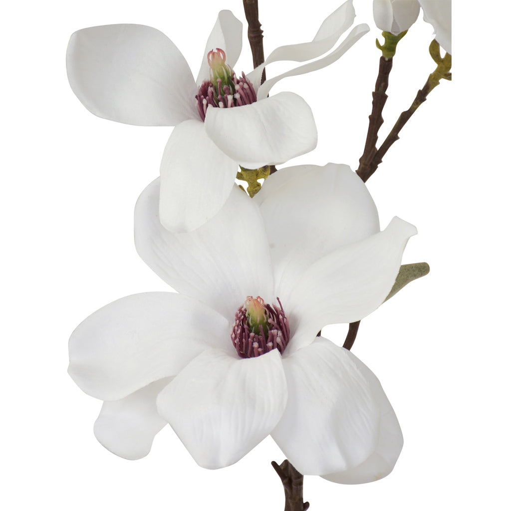 Magnolia - Traditional Southern White