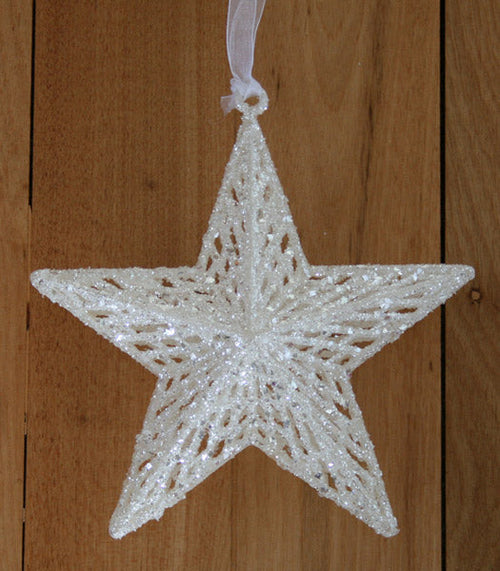 A white star decoration from Decorflowers.co.nz