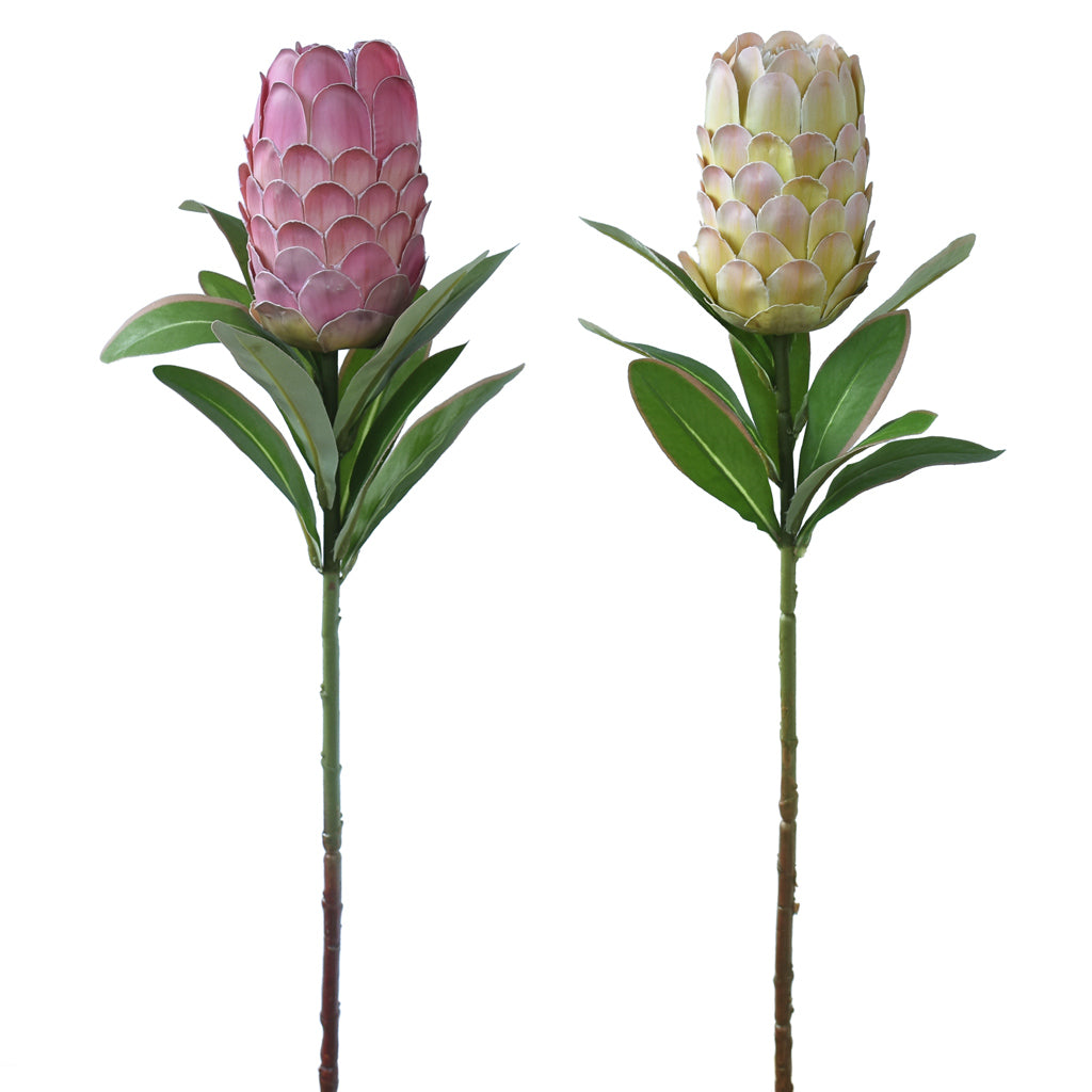 Protea Flower Artificial - Long stem, Autumn Green
