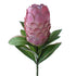 Artificial pink Protea flower with green leaves on a white background