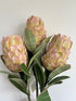 Protea Flower Artificial - Long stem, Autumn Green
