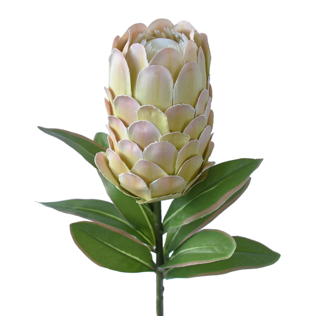 Protea Flower Artificial - Long stem, Autumn Green