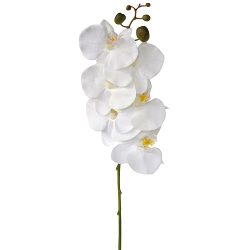 Orchid Phalaenopsis - Artificial - White