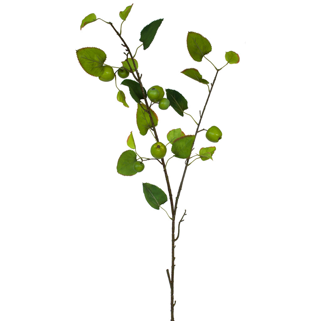 Apple foliage from Decorflowers.co.nz