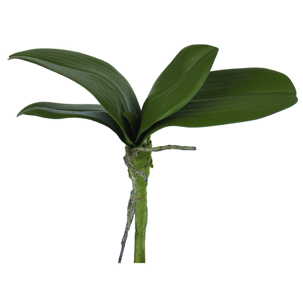 Artificial Orchid Leaves from Decorflowers.co.nz