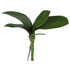 Artificial Orchid Leaves from Decorflowers.co.nz