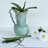Artificial Orchid Leaves from Decorflowers.co.nz