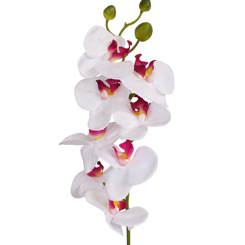 Close-up of artificial Orchid flower from decor Flowers. White and Pink flower with a long stem, leaves and root.