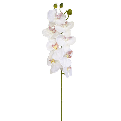 Artificial White Orchid from Decorflowers.co.nz