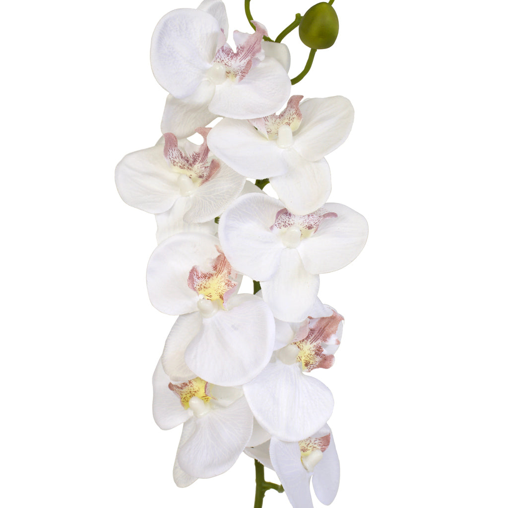 Artificial White Orchid from Decorflowers.co.nz