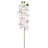 Artificial White Orchid from Decorflowers.co.nz