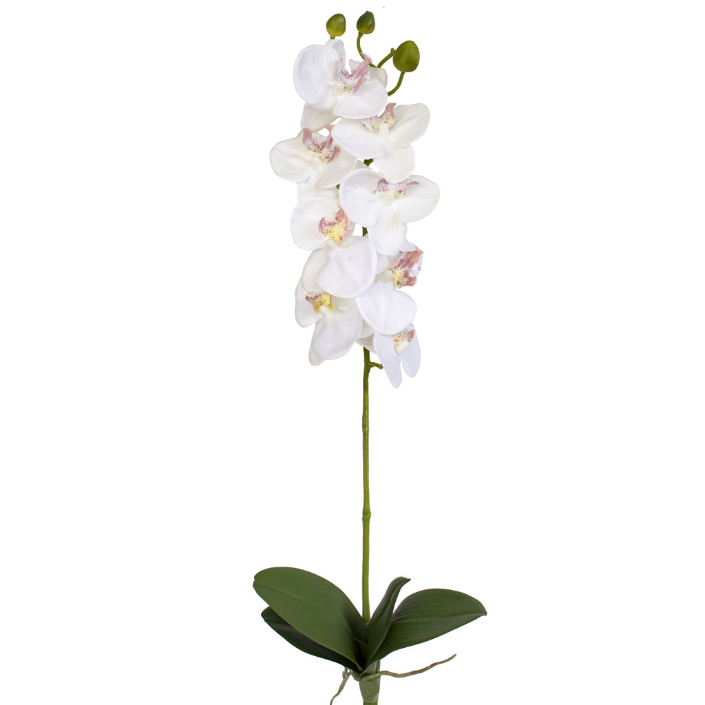 Artificial White Orchid with leaves from Decorflowers.co.nz
