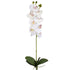 Artificial White Orchid with leaves from Decorflowers.co.nz