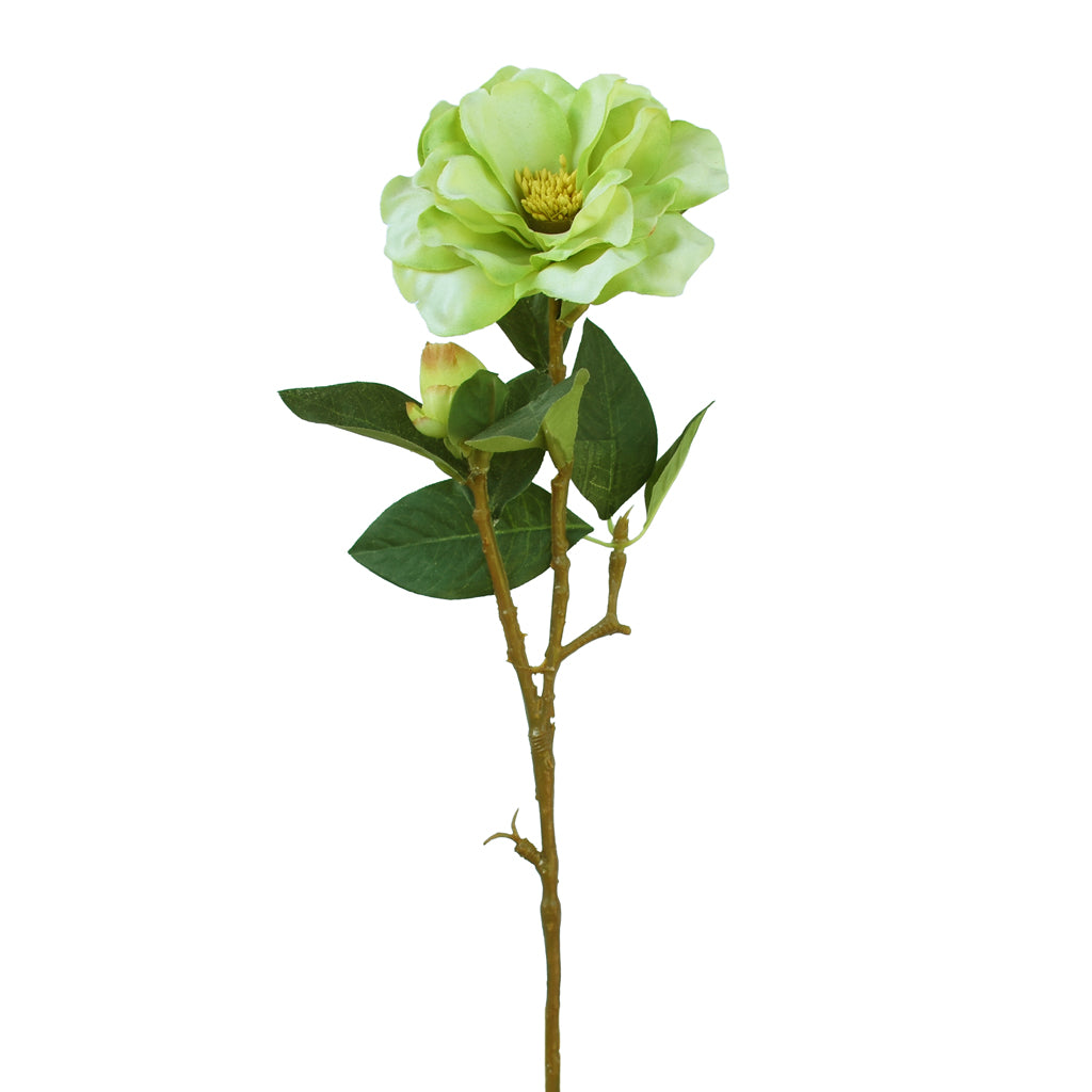 Camelia flower from Decorflowers.co.nz