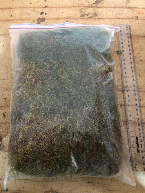 Bag of natural New Zealand tree moss