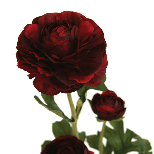 Close-up of urgundy artificial Buttercup flower from decorflowers.co.nz