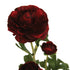 Close-up of urgundy artificial Buttercup flower from decorflowers.co.nz