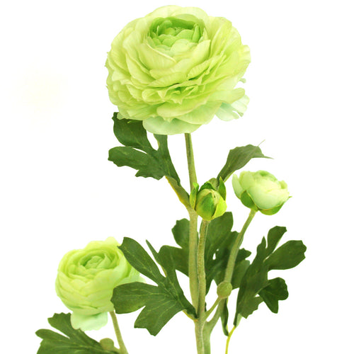 Close-up of cream artificial Buttercup flower from decorflowers.co.nz