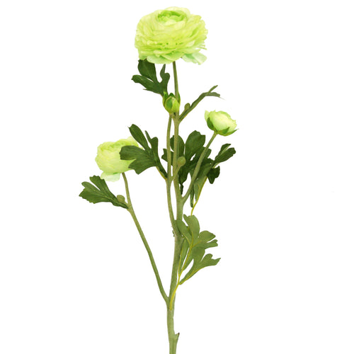 Cream artificial Buttercup flower from decorflowers.co.nz