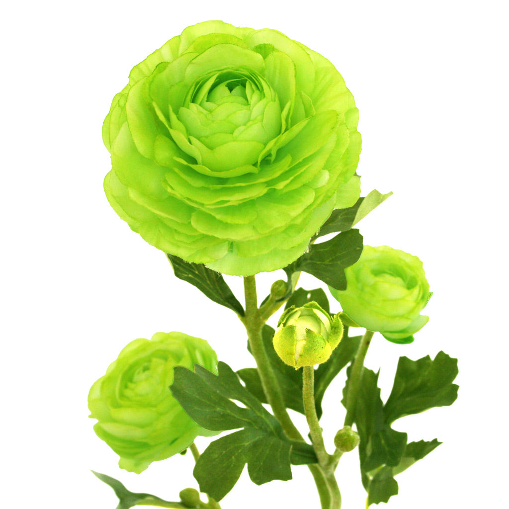 Close-up of lime-green artificial Buttercup flower from decorflowers.co.nz
