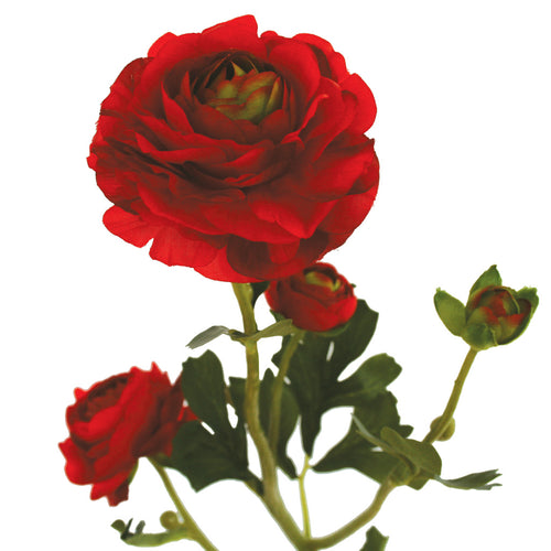 Close-up of red artificial Buttercup flower from decorflowers.co.nz