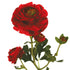 Close-up of red artificial Buttercup flower from decorflowers.co.nz