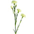 Cream white artificial Carnation flower from decorflowers.co.nz