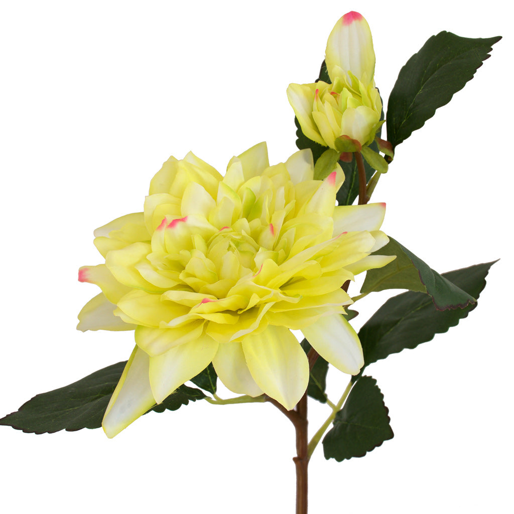 Close-up of artificial lemon cream Dahlia flower from decorflowers.co.nz