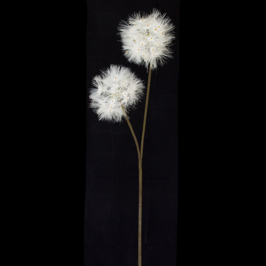 Artificial long stem, double headed Dandelion flower from decorflowers.co.nz