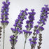 Faux Lavender from Decorflowers.co.nz