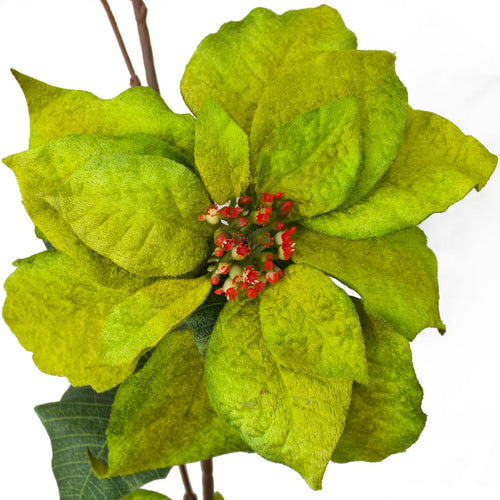 Christmas green poinsettia garland from Decorflowers.co.nz