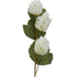 Close-up of artificial white Hops spray from decorflowers.co.nz