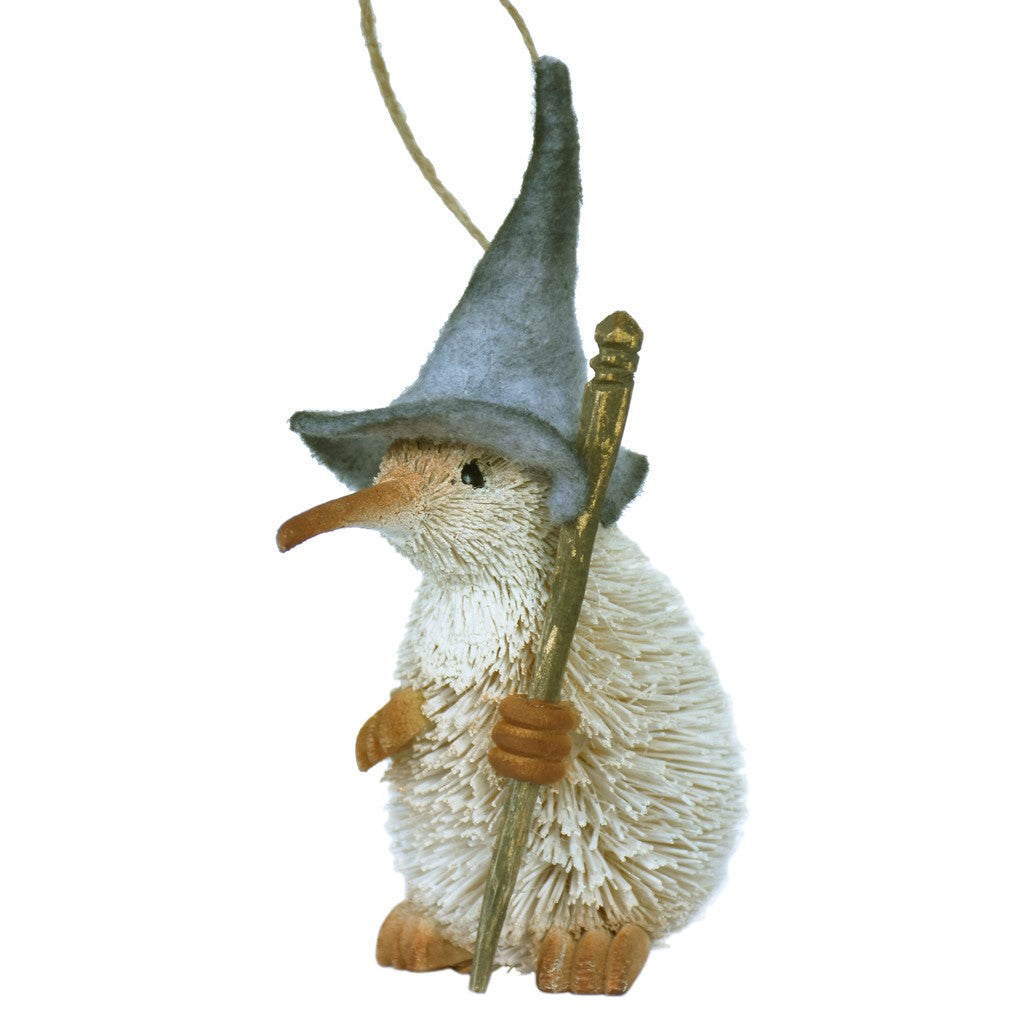 Kiwi decoration with a wizard theme from Decorlowers.co.nz