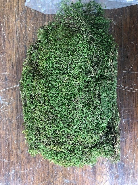 New Zealand Tree Moss