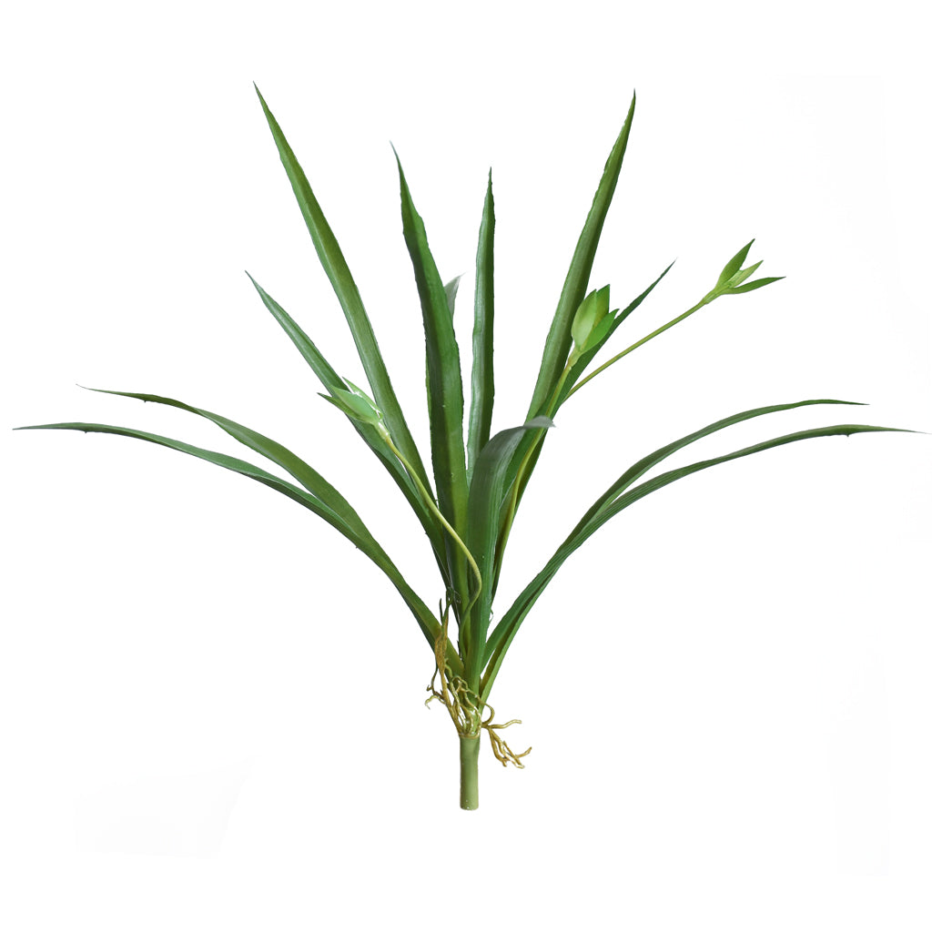 Orchid leaves from Decorflowers.co.nz