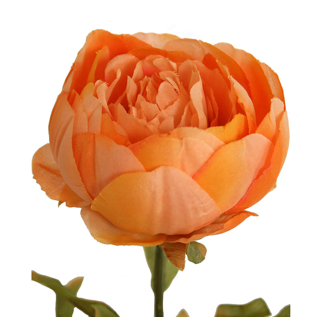 Close up of artificial apricot Peony flower from decorflowers.co.nz