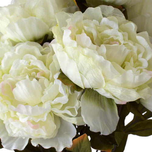 Peony Bunch - Cream