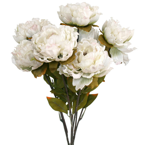 Peony Bunch - Cream