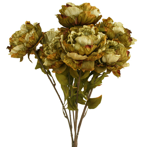 Peony Bunch - Cuba Street Green ✰✰✰ SPECIAL ✰✰✰